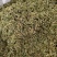 伸筋草野生伸筋草正品中药材无硫新货除尘去沫干净