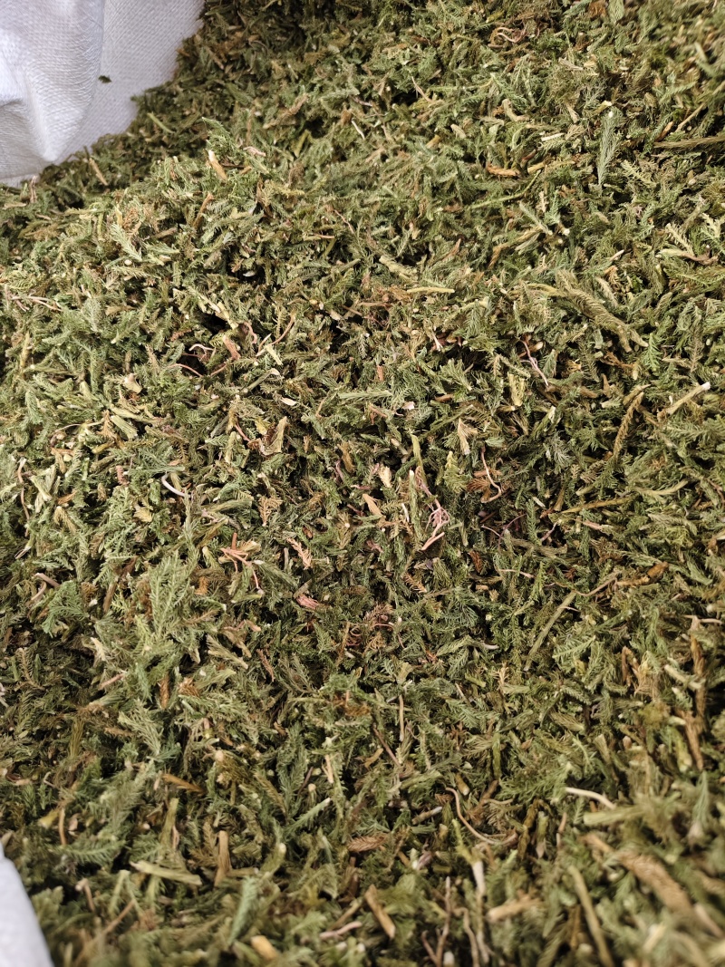 伸筋草野生伸筋草正品中药材无硫新货除尘去沫干净