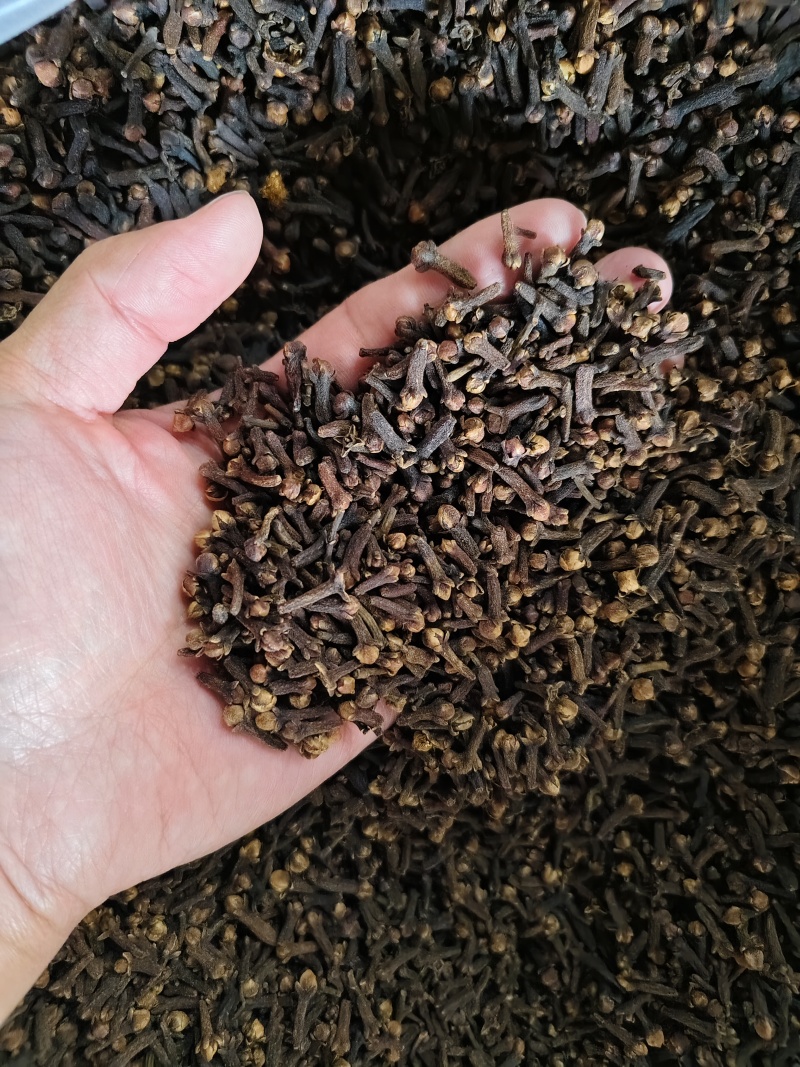 正宗丁香香料公丁香大红丁香散装批发