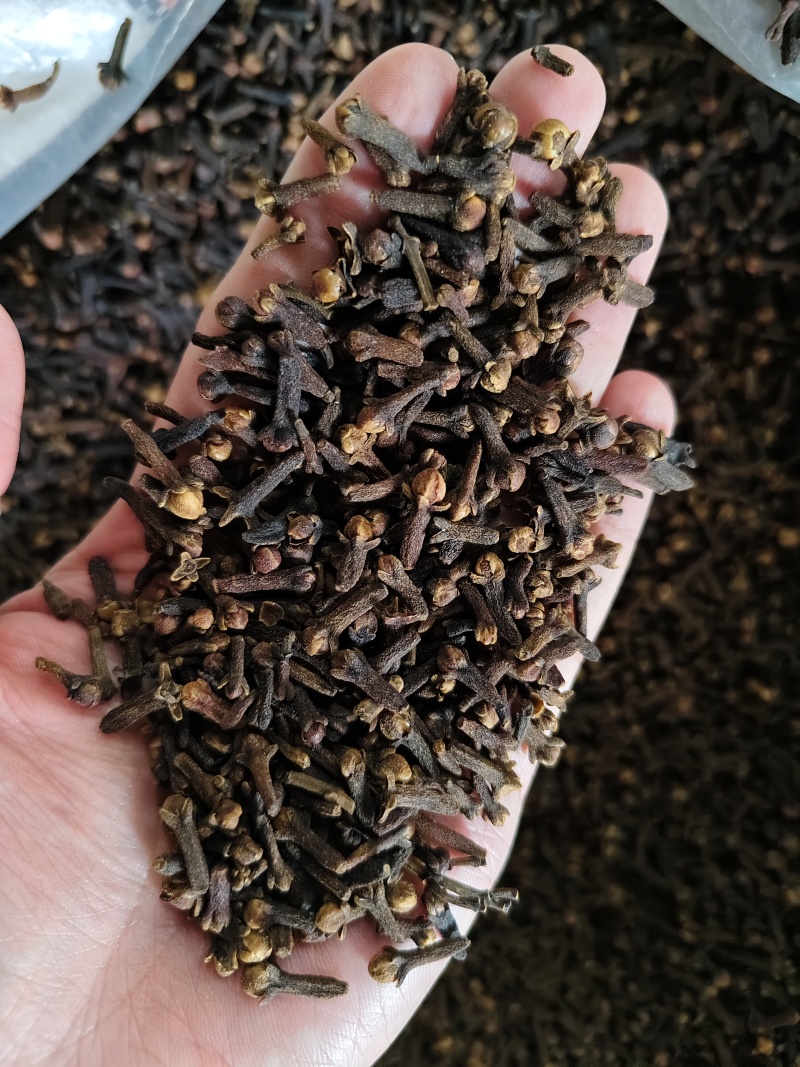 正宗丁香香料公丁香大红丁香散装批发