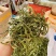 肾精草，又称嗷嗷叫，原产地发货，大量供货
