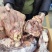 【熟牛头肉】全熟去皮牛头肉产地直发量大从优可视频看货