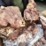 【熟牛头肉】全熟去皮牛头肉产地直发量大从优可视频看货
