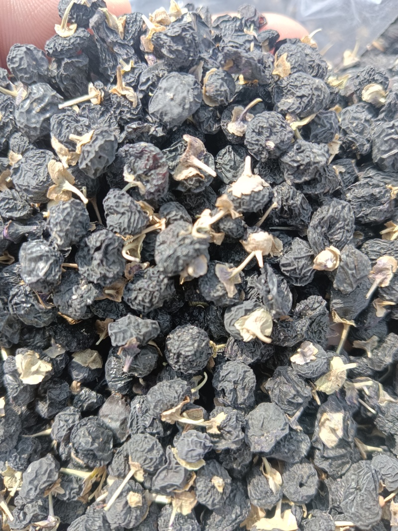 野生黑枸杞，干净不牙磁，原产地发货，大量有货