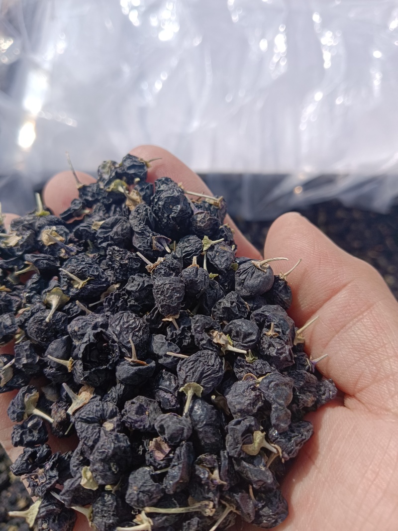 野生黑枸杞，干净不牙磁，原产地发货，大量有货