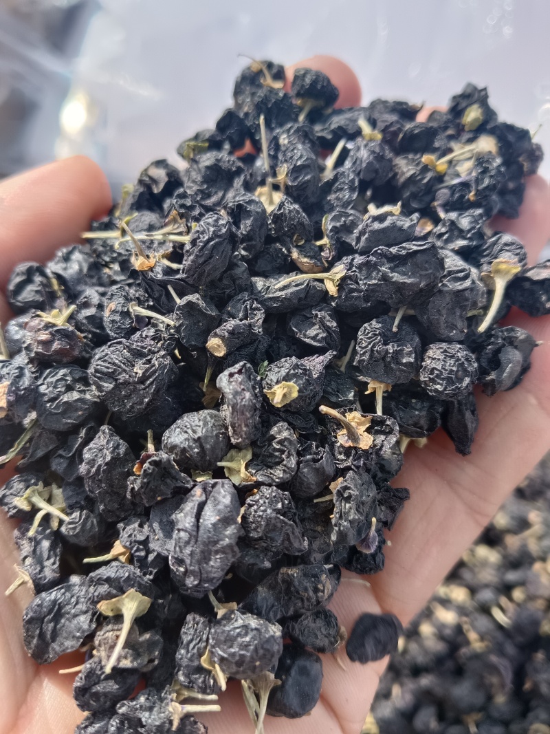 野生黑枸杞，干净不牙磁，原产地发货，大量有货