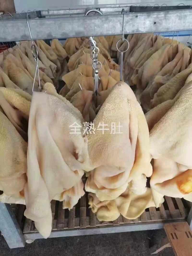 全熟牛肚（解冻即用）可视频看货
