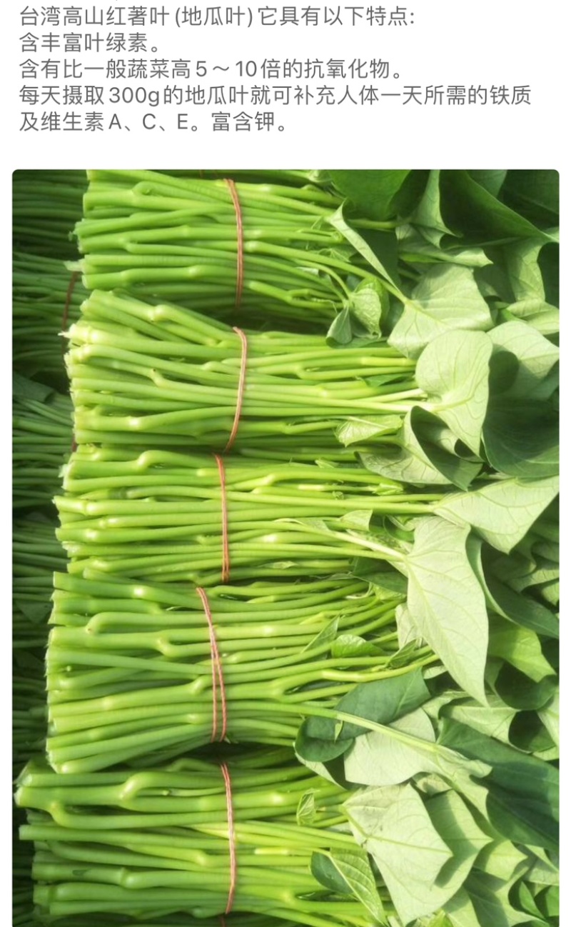 自家种植红薯叶，品质好，价格优