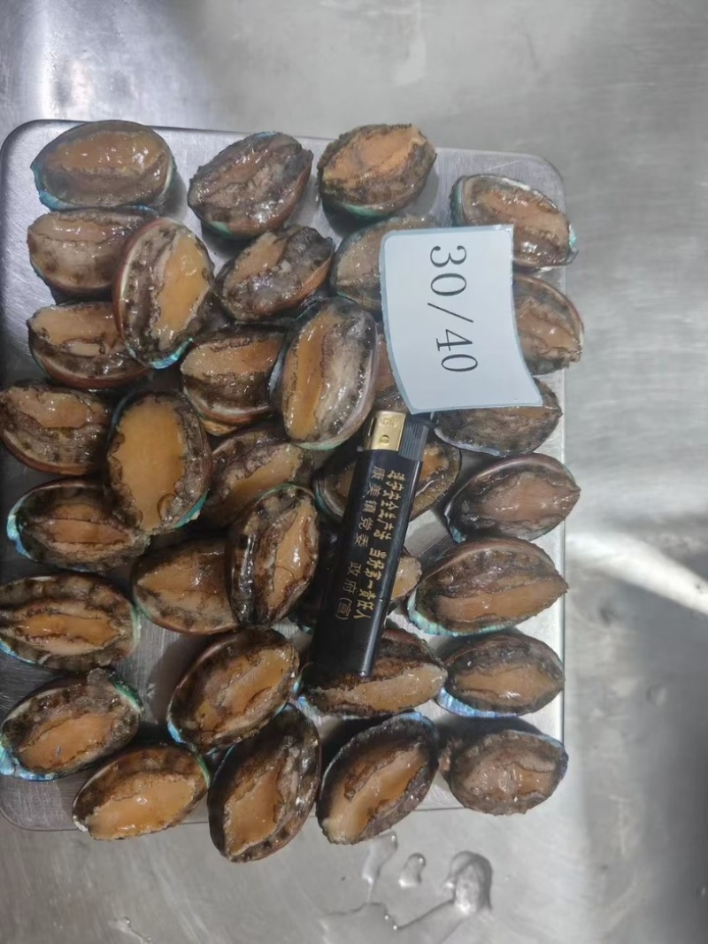 鲍鱼