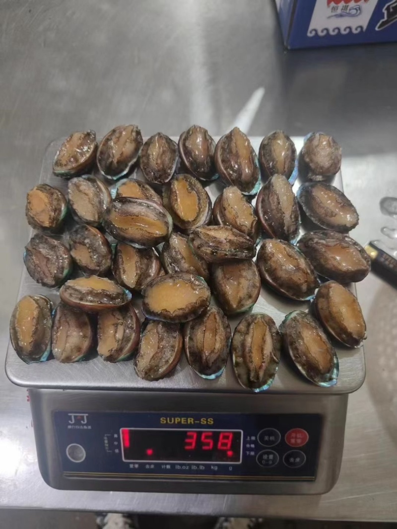 鲍鱼