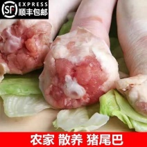短尾