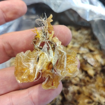 东北林蛙油1000斤现货整出。