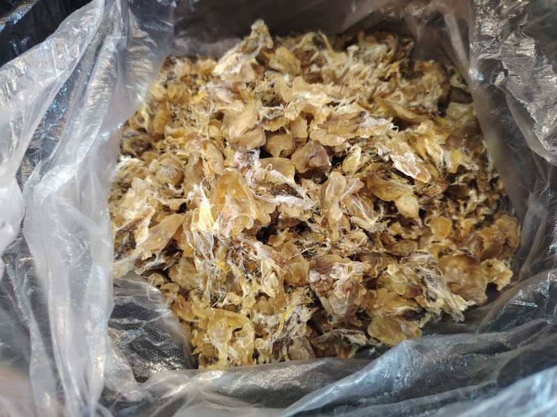 东北林蛙油1000斤现货整出。