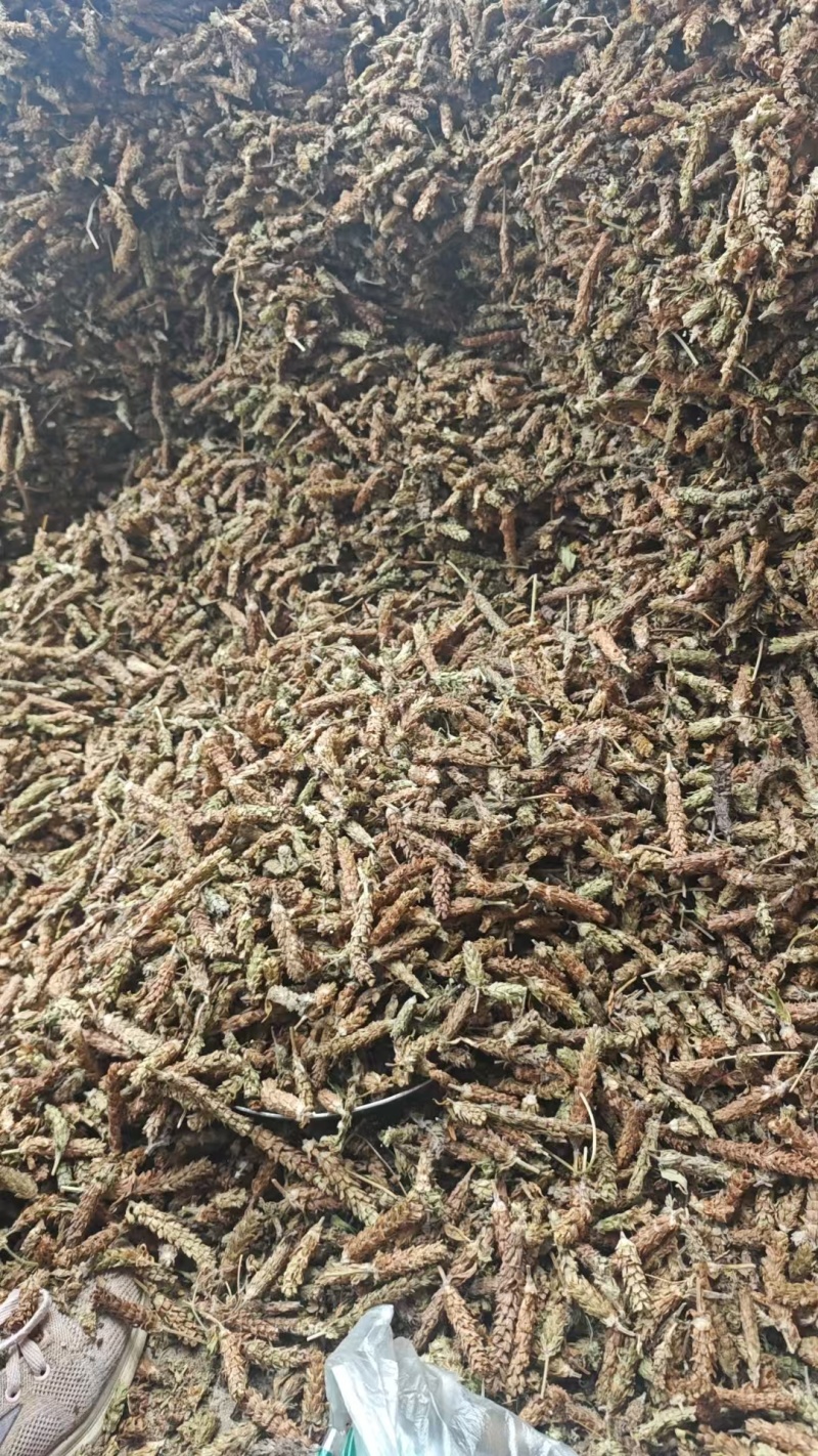 夏枯草选货供应1斤起批批发各种中药材