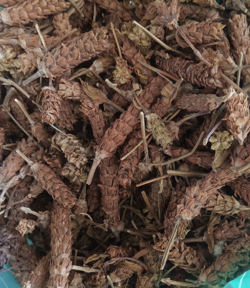 夏枯草选货供应1斤起批批发各种中药材