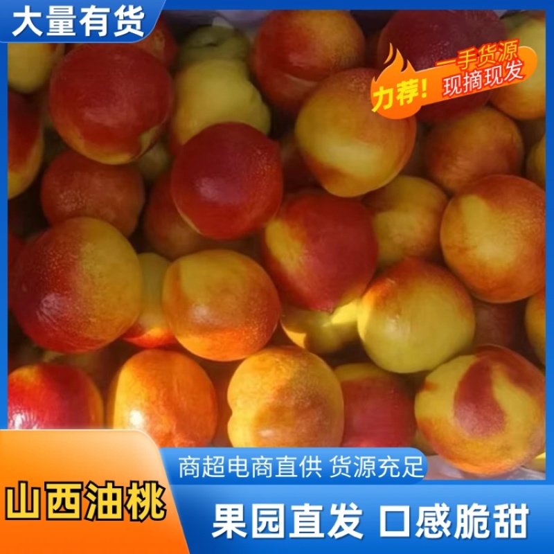 2026山西白肉黄肉油桃毛桃珍珠枣油桃产地直发欢迎合作。