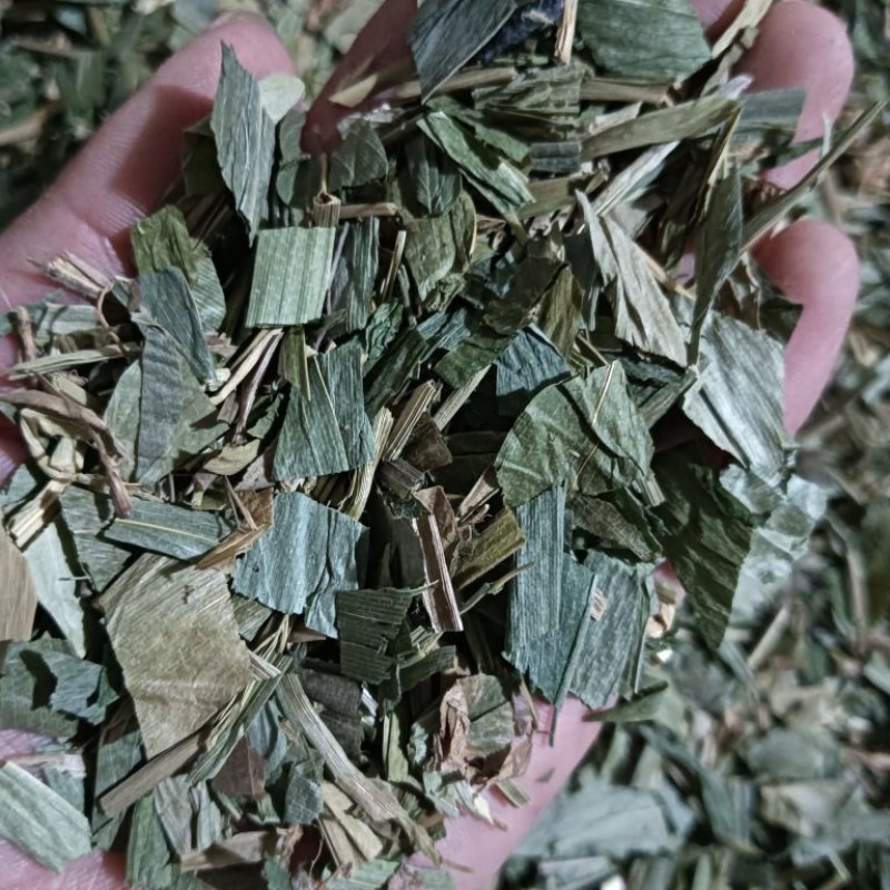 淡竹叶竹叶选货供应批发各种中药材量大优惠