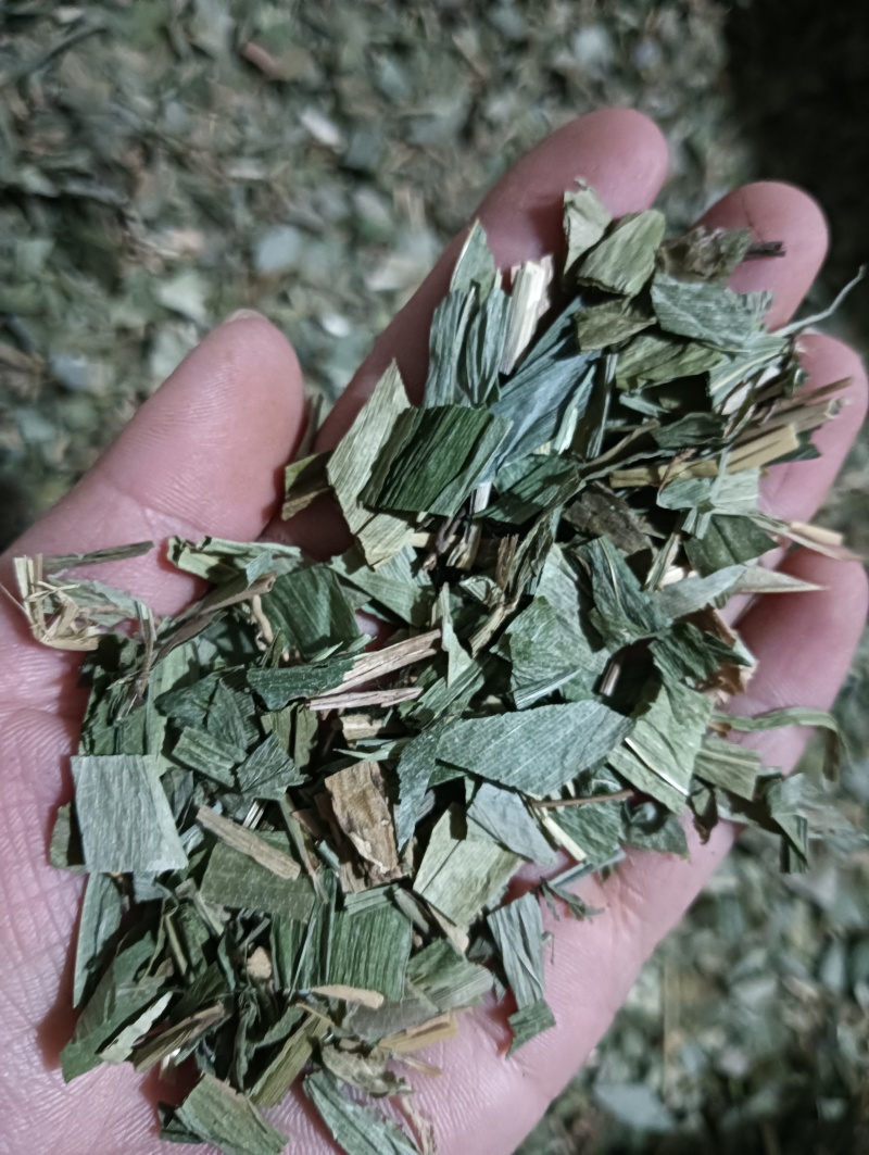 淡竹叶竹叶选货供应批发各种中药材量大优惠