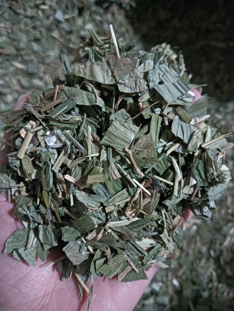 淡竹叶竹叶选货供应批发各种中药材量大优惠