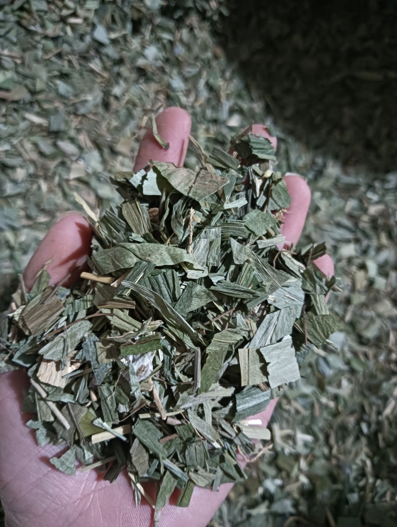 淡竹叶竹叶选货供应批发各种中药材量大优惠