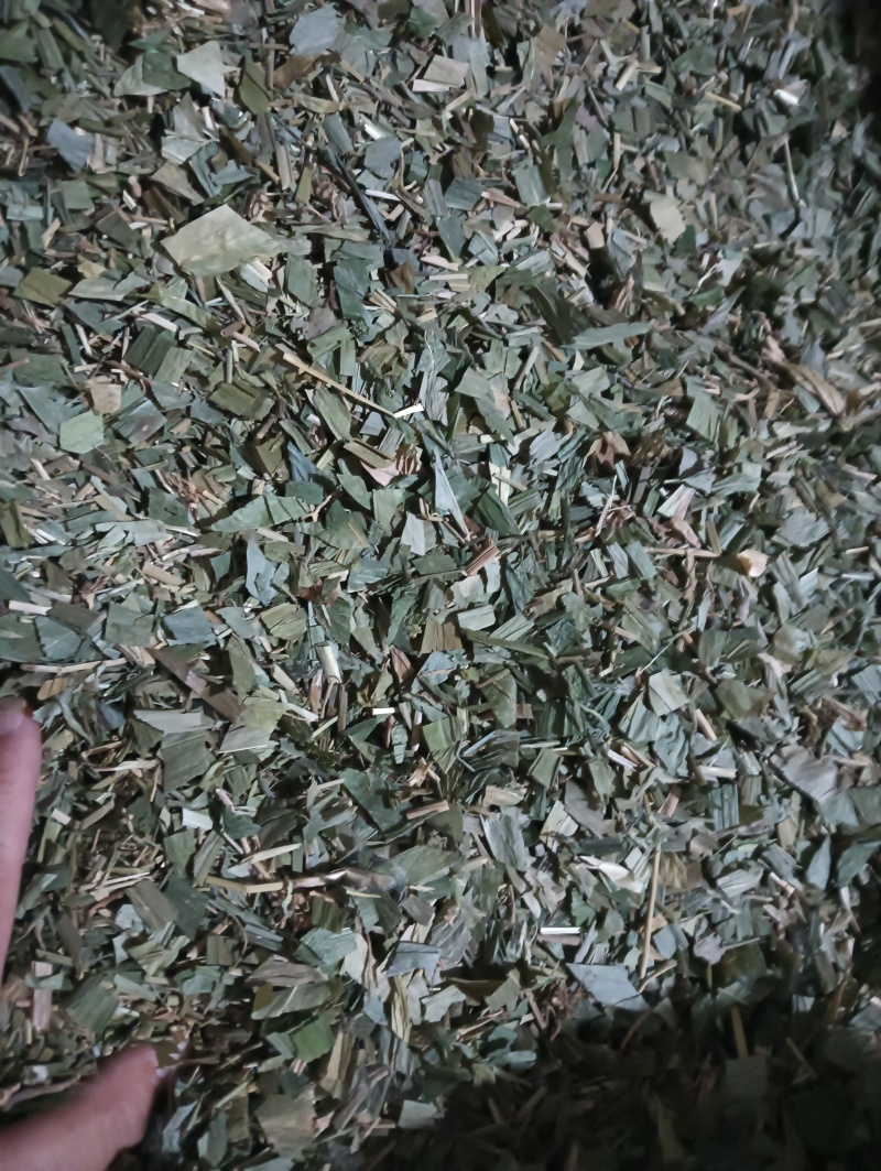 淡竹叶竹叶选货供应批发各种中药材量大优惠