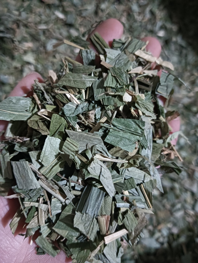 淡竹叶竹叶选货供应批发各种中药材量大优惠