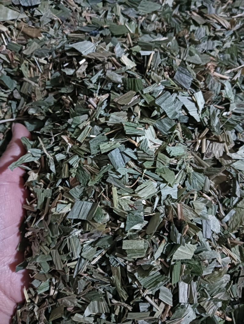 淡竹叶竹叶选货供应批发各种中药材量大优惠