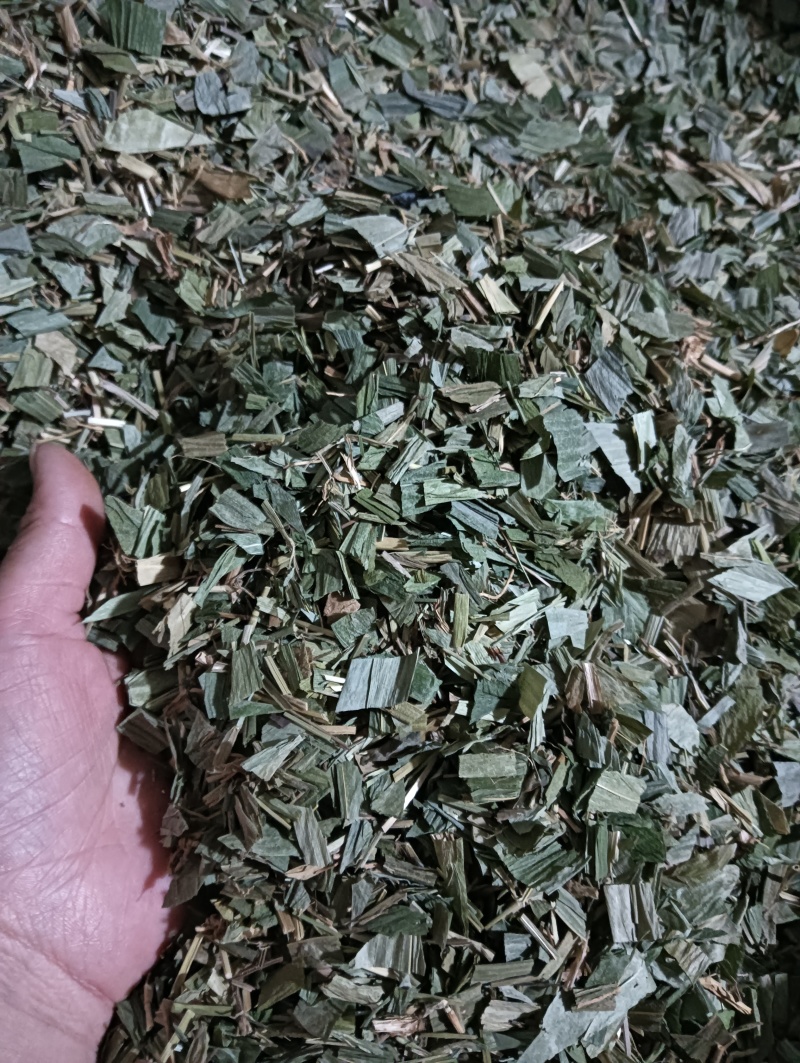 淡竹叶竹叶选货供应批发各种中药材量大优惠