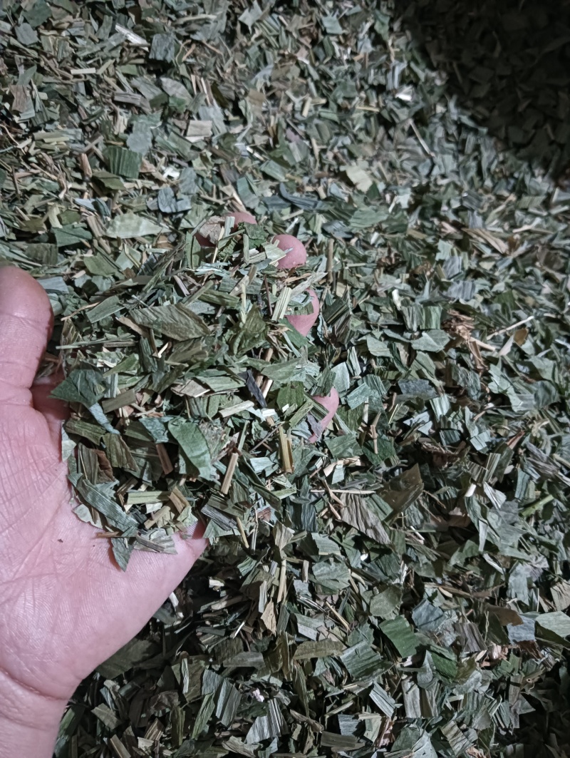 淡竹叶竹叶选货供应批发各种中药材量大优惠