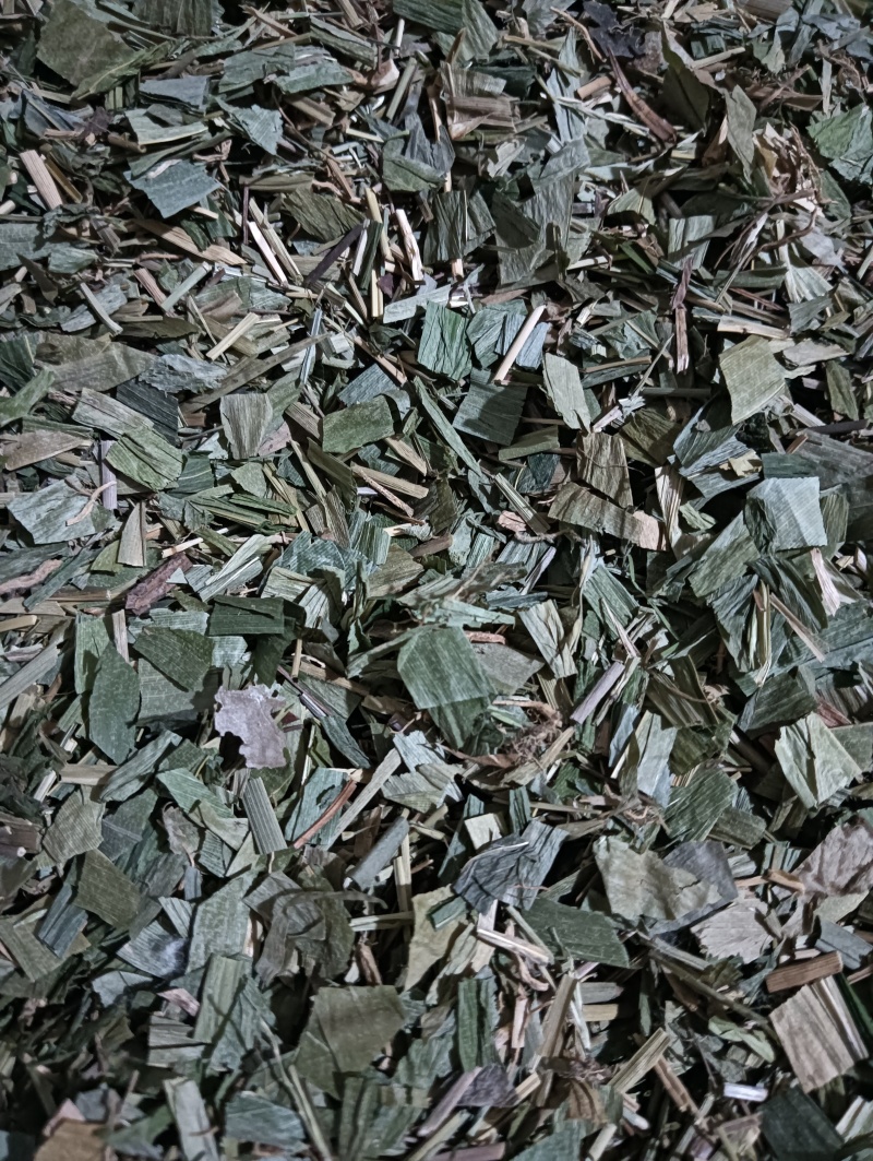 淡竹叶竹叶选货供应批发各种中药材量大优惠