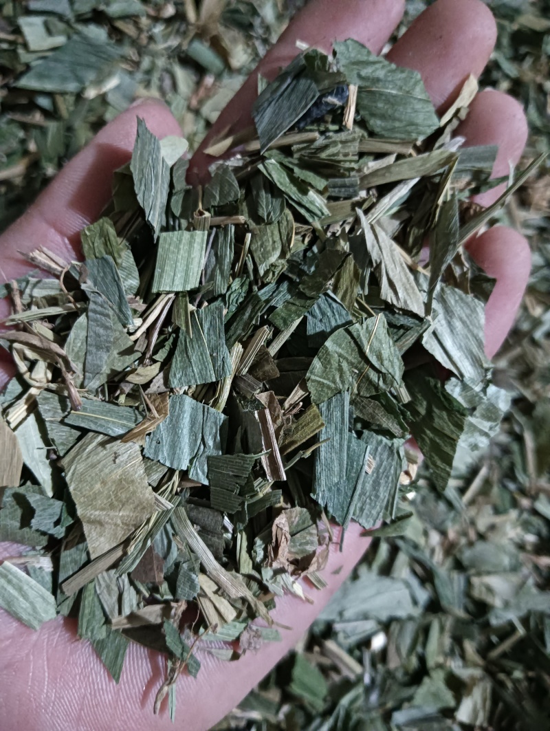 淡竹叶竹叶选货供应批发各种中药材量大优惠