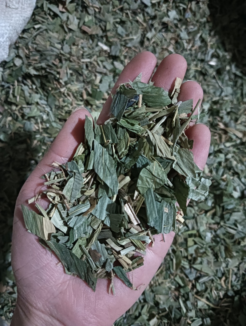 淡竹叶竹叶选货供应批发各种中药材量大优惠