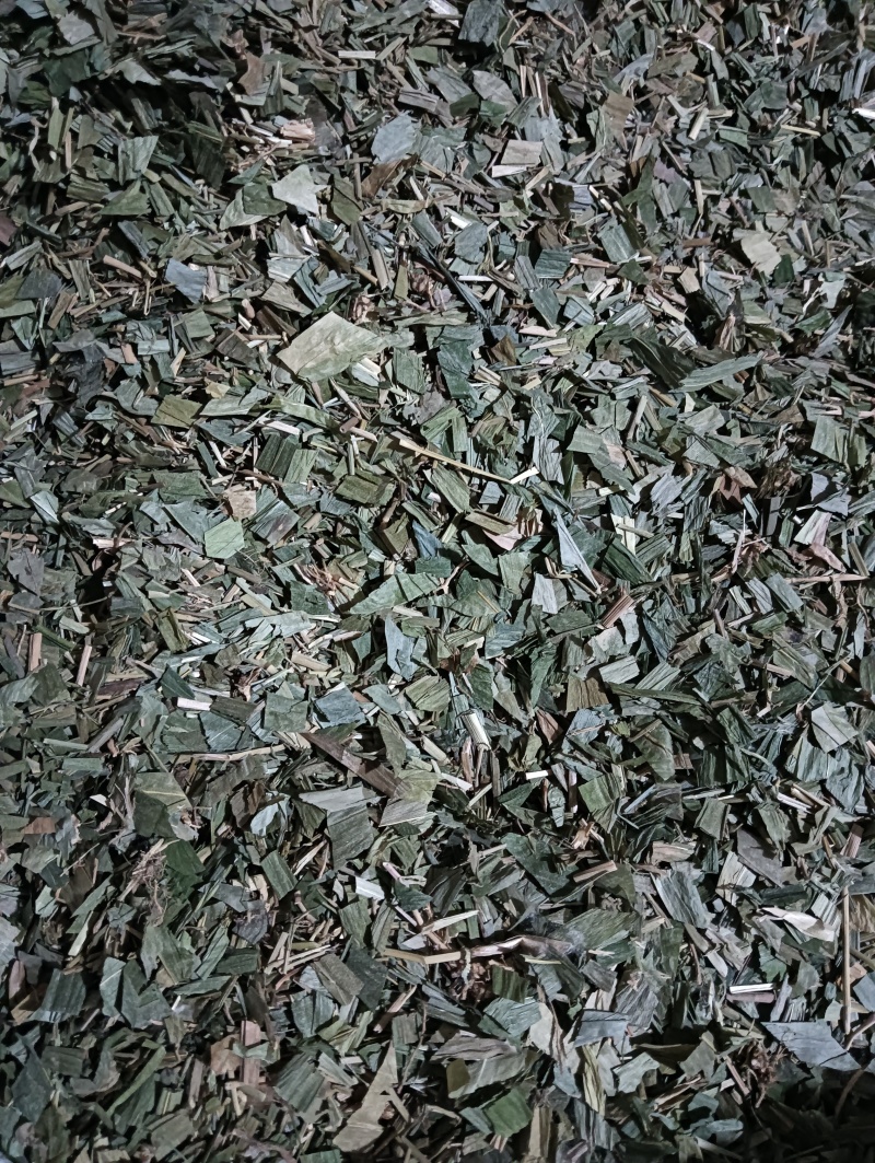 淡竹叶竹叶选货供应批发各种中药材量大优惠