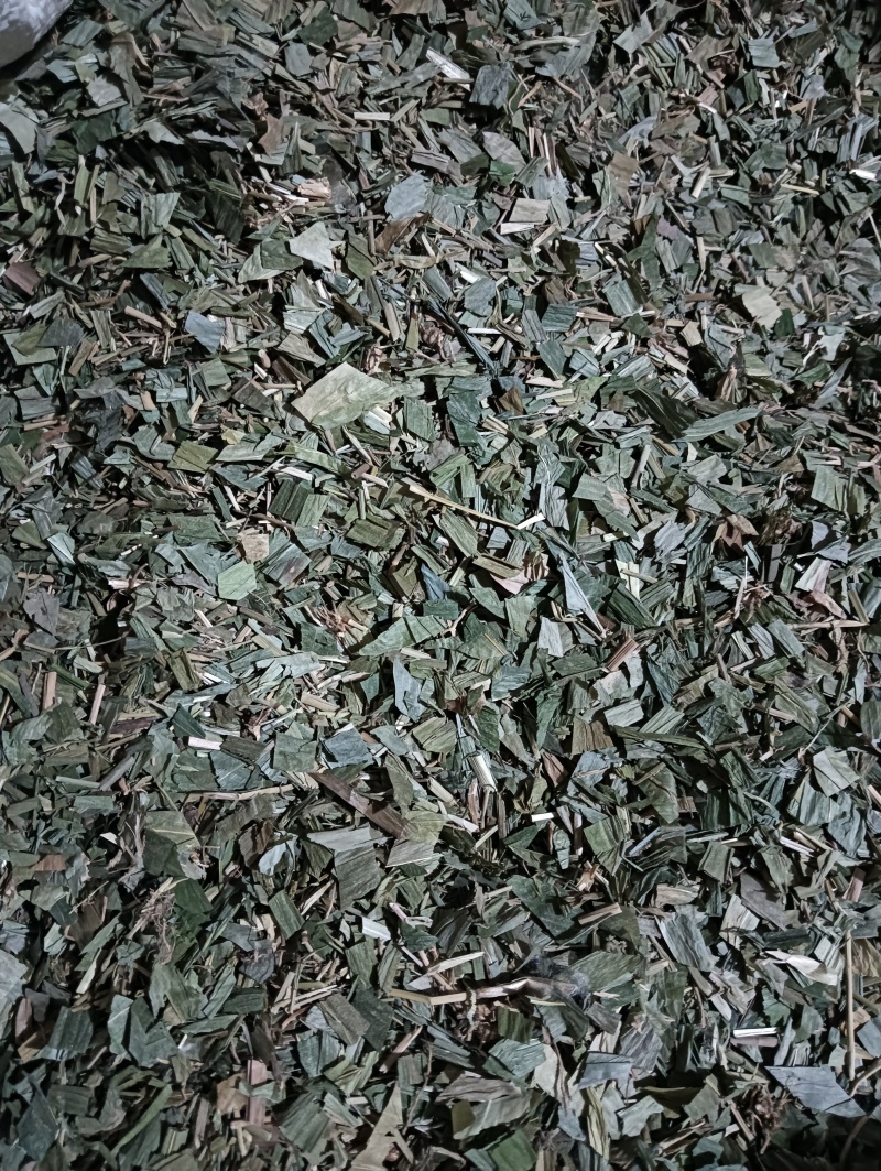 淡竹叶竹叶选货供应批发各种中药材量大优惠