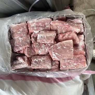 肥猪龙骨段