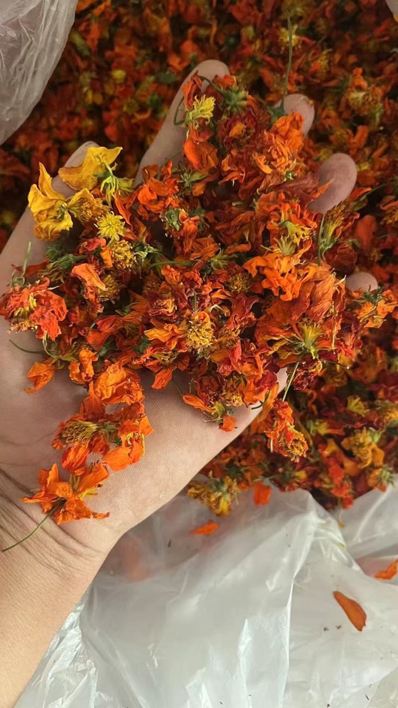 帕米尔高山天山冰菊正宗甄选好茶花香冷热皆可冲