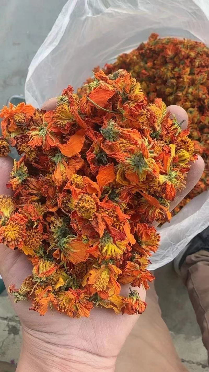 帕米尔高山天山冰菊正宗甄选好茶花香冷热皆可冲