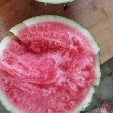 美都西瓜