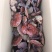 灵芝灵芝个灵芝现货供应实物实拍批发各种中药材