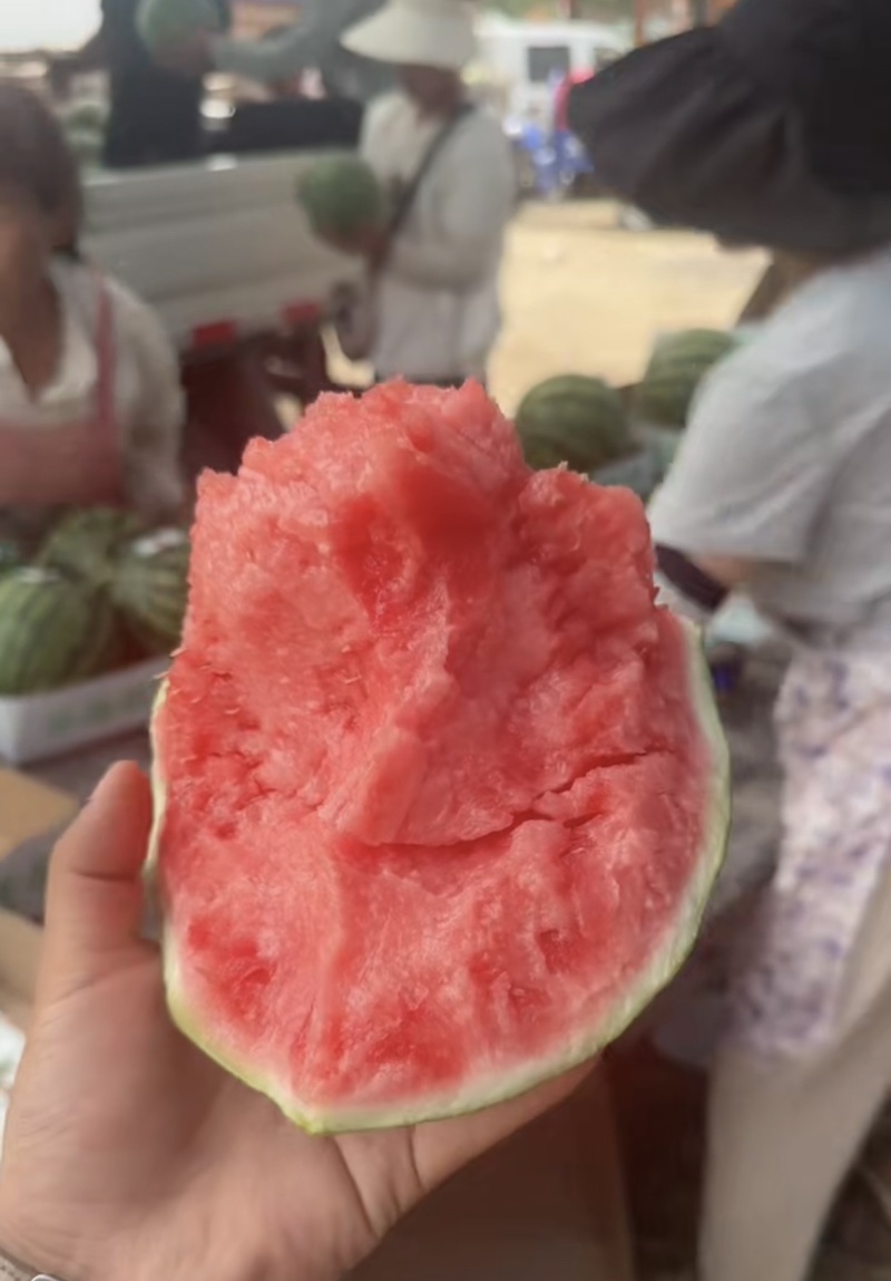 夏邑产区无籽美都口感好糖度高对接各大市场质量三包
