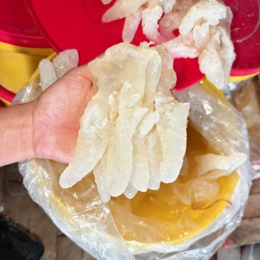 八爪蛰头，货量充足，品质优良，规格齐全，欢迎咨询选购