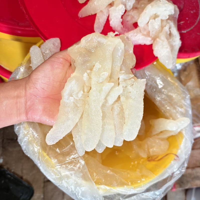 八爪蛰头，货量充足，品质优良，规格齐全，欢迎咨询选购