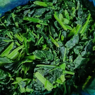 速冻菠菜段