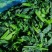 速冻菠菜段