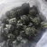 速冻菠菜段
