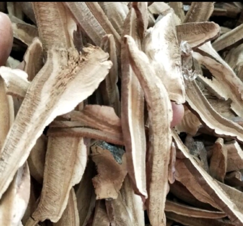 灵芝灵芝个灵芝现货供应实物实拍批发各种中药材