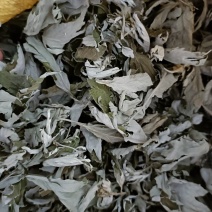 艾叶，野生艾叶