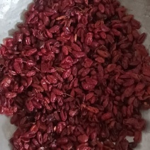 山萸肉山茱萸实物实拍现货供应批发各种中药材