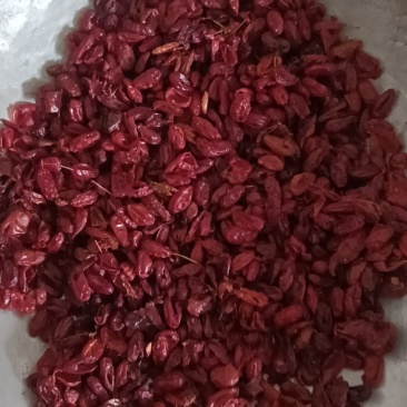 山萸肉山茱萸实物实拍现货供应批发各种中药材