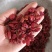 山萸肉山茱萸实物实拍现货供应批发各种中药材